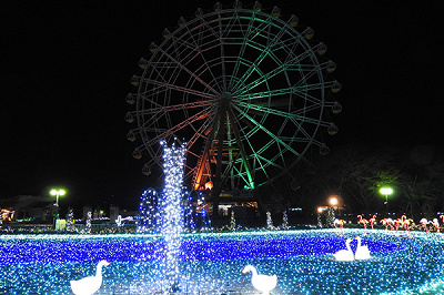 東武動物公園のイルミネーション