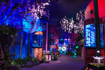 JAPONE小路(ジャポネ小路)