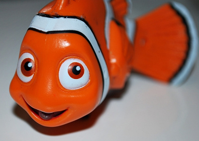 お子さんが大好きなニモに会いに行こう！