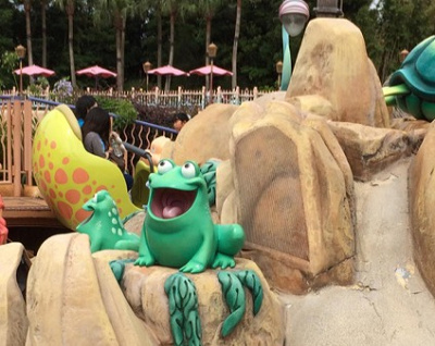 このカエルに注目です!