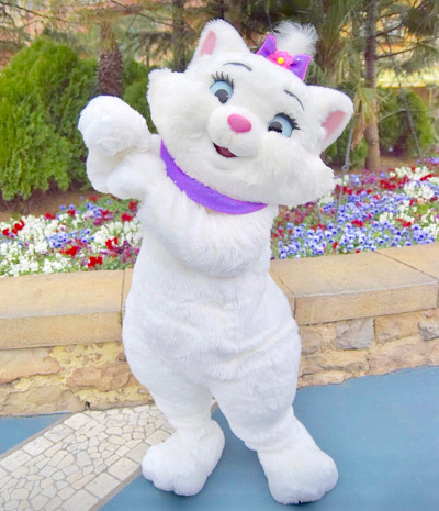 ディズニー】マリーちゃんのプロフィール＆グッズ！『おしゃれキャット