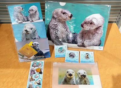 鳥羽水族館 ラッコグッズセット メイ キラ - その他