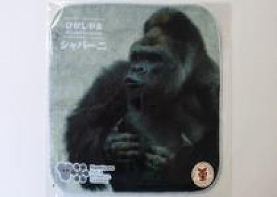 シャバーニのミニタオル・ドラミングバージョン