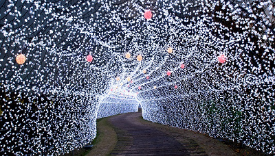 なばなの里イルミネーション2021-2022