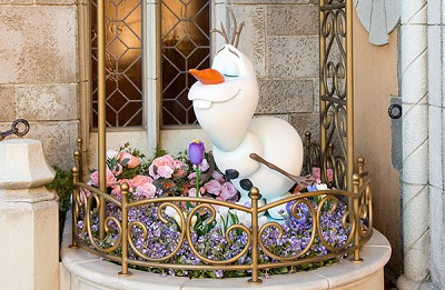 フローズンファンタジー 2018 マグカップ アナ雪 戴冠式 TDLアナ雪2018】アナとエルサのおしゃれな戴冠式アートデザイン