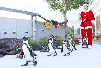 ペンギンパレード クリスマスバージョン
