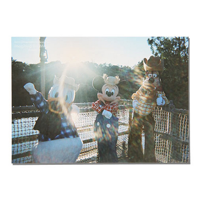 10/19発売】ディズニー40周年を記念したイマジニング・ザ