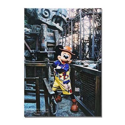 10/19発売】ディズニー40周年を記念したイマジニング・ザ
