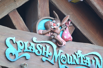 アメリカのスプラッシュ・マウンテンでも写真撮影は人気!