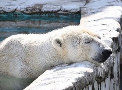 体調管理が一番大事！