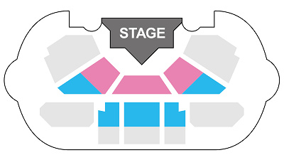 ダンス・ザ・グローブ！の鑑賞エリア