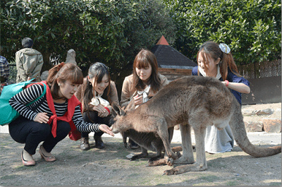 ウォーキングサファリ
