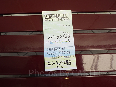 ナガシマスパーランドのチケット