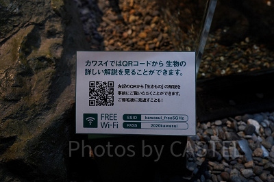 生きものの情報はスマホで読める