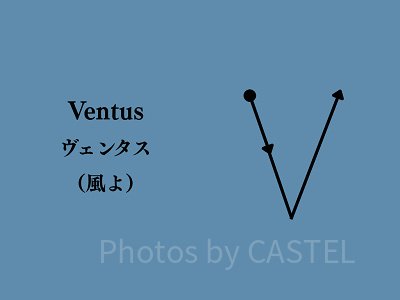 ヴェンタス