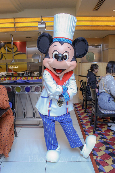 ホテル＆パークでディズニーの仲間たちと会える2DAYS