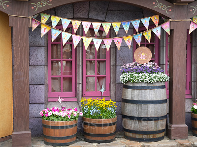 美女と野獣エリアの40周年フォトスポット