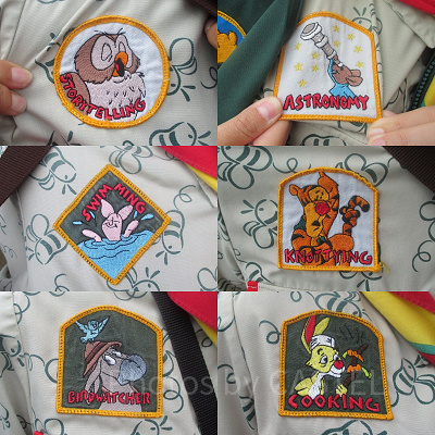 プースカウトのワッペン6種類