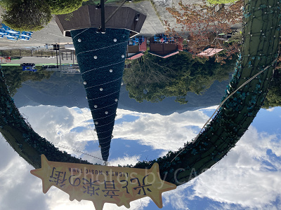 光と音楽の街 巨大なツリー