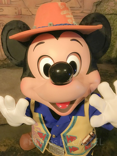 いくつわかる？Dヲタが使うディズニーアトラクション略称