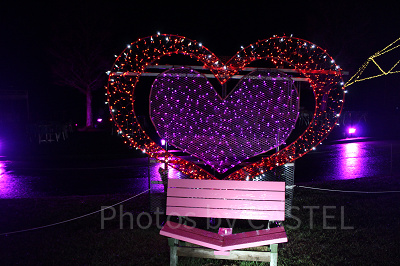 パートナーとの距離も近付くカップルシート