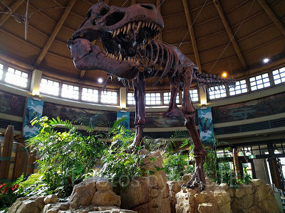 ディスカバリー・レストラン店内に飾られた骨格標本