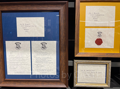 アクセプタンスレターセット