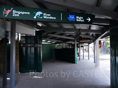 シンガポール動物園へのアクセス：看板に沿って3種類の動物園施設へアクセス可能