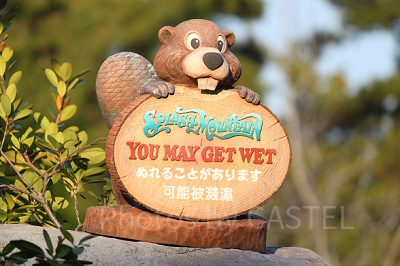 ひとりディズニーランドのメリット・デメリット