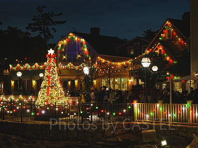 ビリーヴ終了後は待ち時間が5分待ち程度に