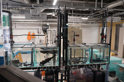 アグア・ラボ エリア