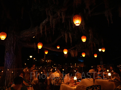 無数のちょうちんにも注目