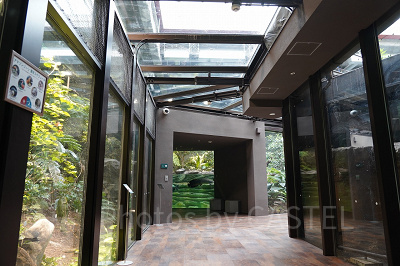 アマゾンゾーン