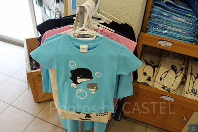 コロンとしたシャチのイラストがかわいいオリジナルTシャツ