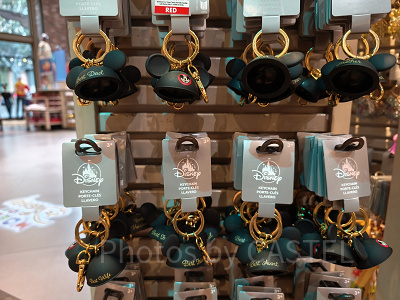 アナハイムディズニーのキーチェーン：イヤーハット型キーチェーン