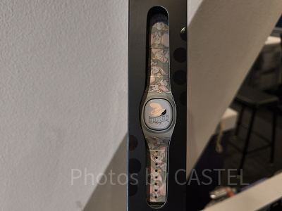 アナハイムディズニーのマジックバンド＋：ダンボ