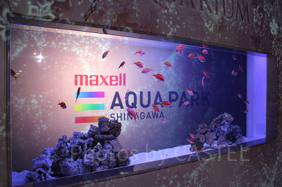 アクアパーク品川の営業時間&入場料金