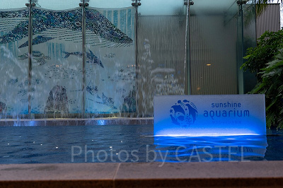 水族館パスポート（年間パスポート）