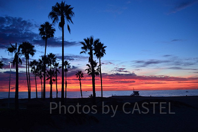 キャプテンたちは常夏でバケーション中?!