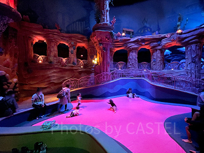 アリエルのプレイグラウンド内のスターフィッシュ・プレイペン