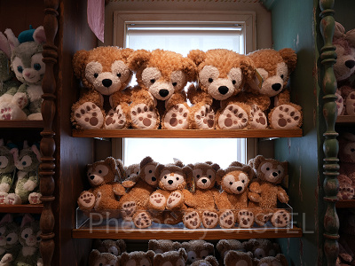 アーント・ペグズ・ヴィレッジストア　ダッフィー