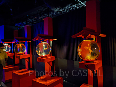 アートアクアリウム銀座　提灯リウム