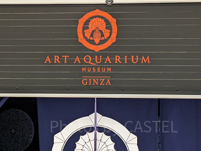 アートアクアリウム銀座　入口