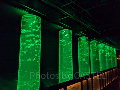 アートアクアリウム銀座　金魚の回廊