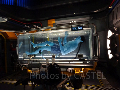 アバターのアトラクション