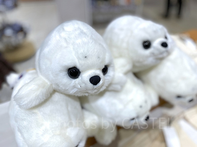 赤ちゃんアザラシ