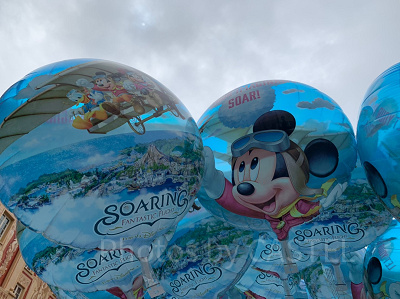 最新】ソアリングッズ35選！ディズニーシーの人気アトラクションお土産！