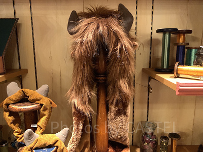 野獣ファンキャップ