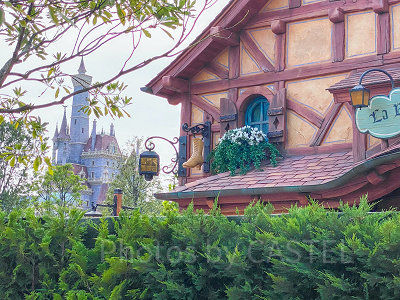 美女と野獣エリア