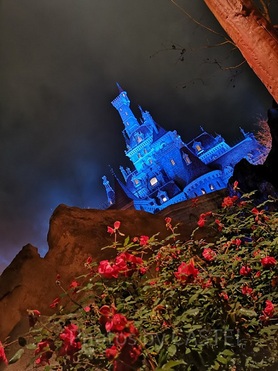 美女と野獣“魔法のものがたり”